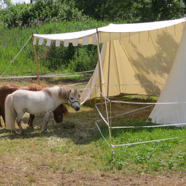 Trefft Barbara und Ralph mit ihren Ponys